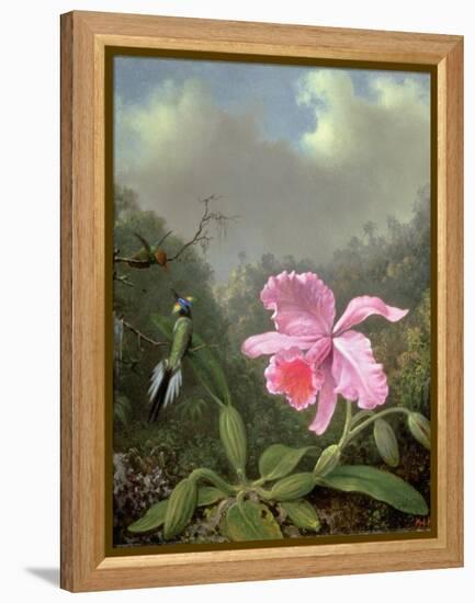 Still Life with an Orchid and a Pair of Hummingbirds, C.1890S-Martin Johnson Heade-Framed Premier Image Canvas