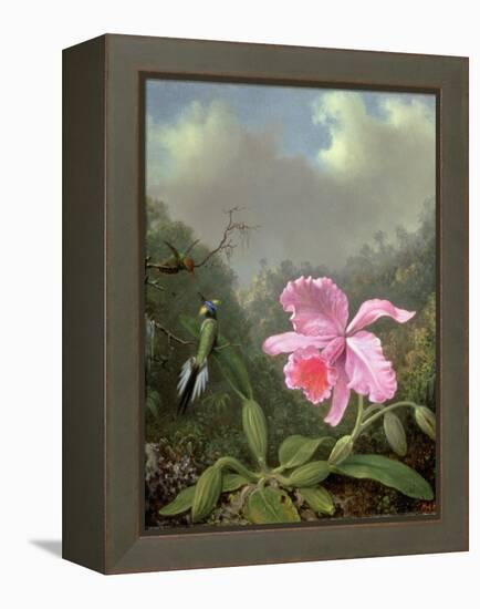 Still Life with an Orchid and a Pair of Hummingbirds, C.1890S-Martin Johnson Heade-Framed Premier Image Canvas