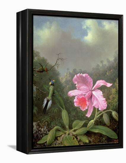 Still Life with an Orchid and a Pair of Hummingbirds, C.1890S-Martin Johnson Heade-Framed Premier Image Canvas