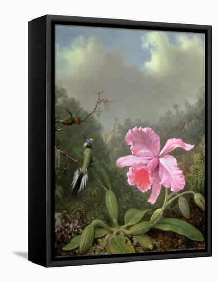 Still Life with an Orchid and a Pair of Hummingbirds, C.1890S-Martin Johnson Heade-Framed Premier Image Canvas