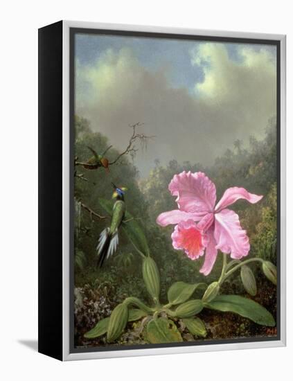 Still Life with an Orchid and a Pair of Hummingbirds, C.1890S-Martin Johnson Heade-Framed Premier Image Canvas