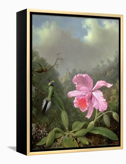 Still Life with an Orchid and a Pair of Hummingbirds, C.1890S-Martin Johnson Heade-Framed Premier Image Canvas