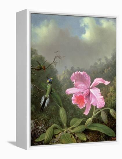 Still Life with an Orchid and a Pair of Hummingbirds, C.1890S-Martin Johnson Heade-Framed Premier Image Canvas