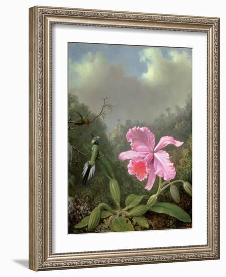 Still Life with an Orchid and a Pair of Hummingbirds, C.1890S-Martin Johnson Heade-Framed Giclee Print