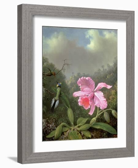 Still Life with an Orchid and a Pair of Hummingbirds, C.1890S-Martin Johnson Heade-Framed Giclee Print