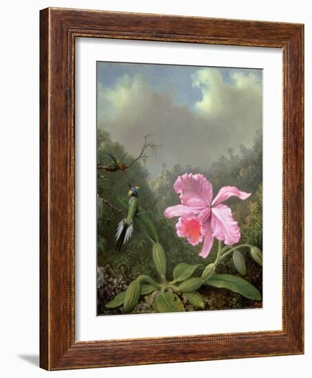 Still Life with an Orchid and a Pair of Hummingbirds, C.1890S-Martin Johnson Heade-Framed Giclee Print