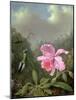 Still Life with an Orchid and a Pair of Hummingbirds, C.1890S-Martin Johnson Heade-Mounted Giclee Print