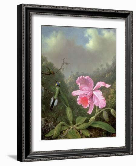 Still Life with an Orchid and a Pair of Hummingbirds, C.1890S-Martin Johnson Heade-Framed Giclee Print