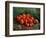 Still Life With Apples, 1887-1888-Vincent van Gogh-Framed Giclee Print