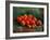 Still Life With Apples, 1887-1888-Vincent van Gogh-Framed Premium Giclee Print