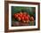 Still Life With Apples, 1887-1888-Vincent van Gogh-Framed Premium Giclee Print