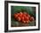 Still Life With Apples, 1887-1888-Vincent van Gogh-Framed Premium Giclee Print