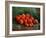 Still Life With Apples, 1887-1888-Vincent van Gogh-Framed Giclee Print