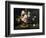 Still Life with Asters, 1859-Gustave Courbet-Framed Giclee Print