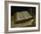 Still Life with Bible, 1885-Vincent van Gogh-Framed Giclee Print