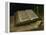 Still Life with Bible, 1885-Vincent van Gogh-Framed Premier Image Canvas