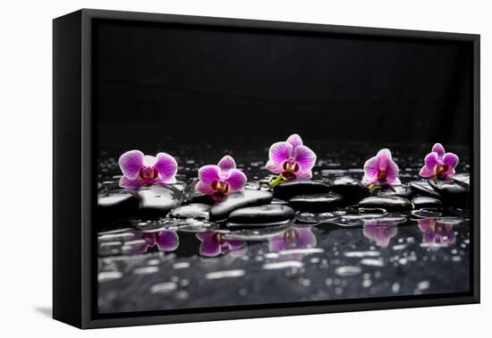 Still Life with Black Stone and Five Orchid-crystalfoto-Framed Premier Image Canvas