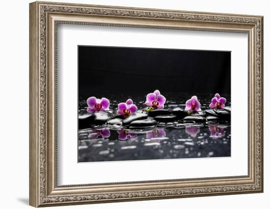 Still Life with Black Stone and Five Orchid-crystalfoto-Framed Photographic Print