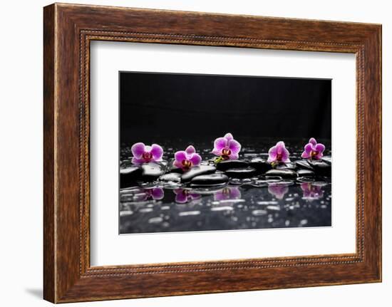 Still Life with Black Stone and Five Orchid-crystalfoto-Framed Photographic Print