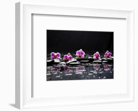 Still Life with Black Stone and Five Orchid-crystalfoto-Framed Photographic Print