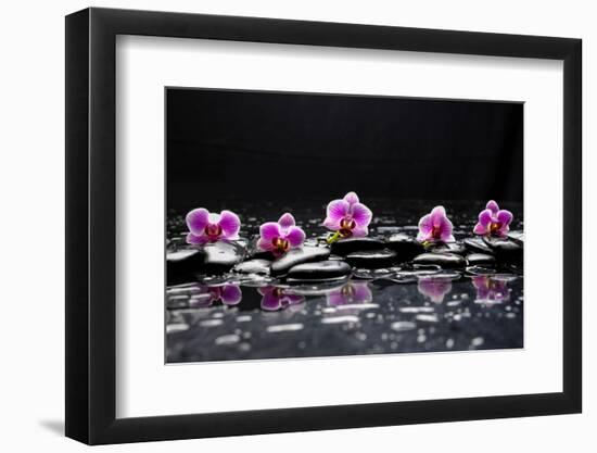 Still Life with Black Stone and Five Orchid-crystalfoto-Framed Photographic Print