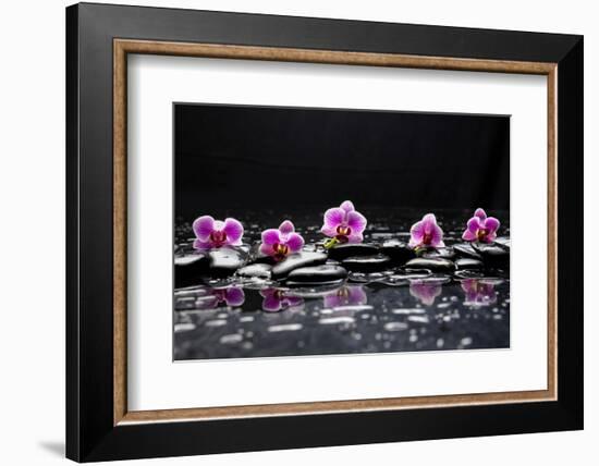 Still Life with Black Stone and Five Orchid-crystalfoto-Framed Photographic Print