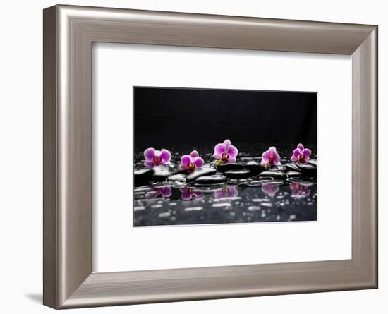 Still Life with Black Stone and Five Orchid-crystalfoto-Framed Photographic Print