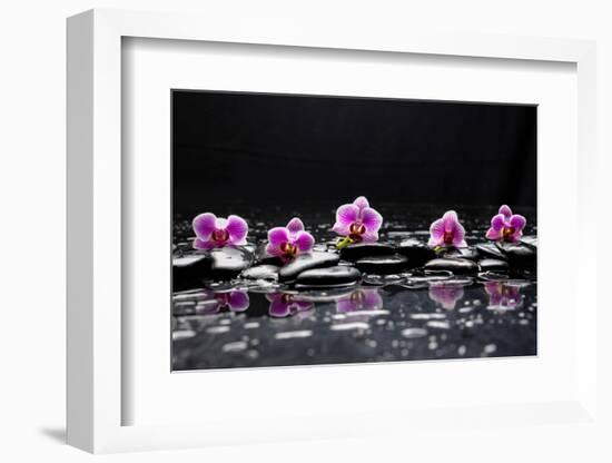 Still Life with Black Stone and Five Orchid-crystalfoto-Framed Photographic Print