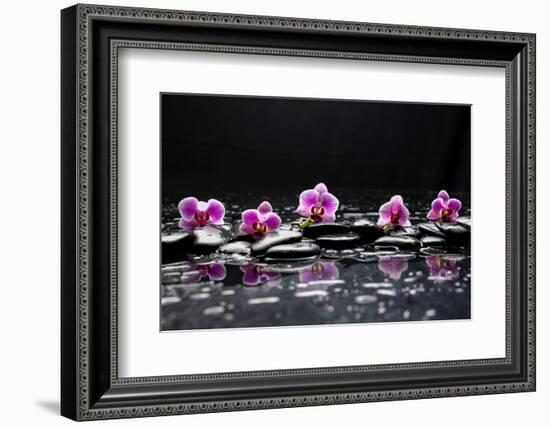 Still Life with Black Stone and Five Orchid-crystalfoto-Framed Photographic Print