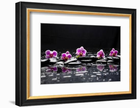 Still Life with Black Stone and Five Orchid-crystalfoto-Framed Photographic Print