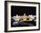 Still Life with Black Stone and Three Orchid-crystalfoto-Framed Photographic Print