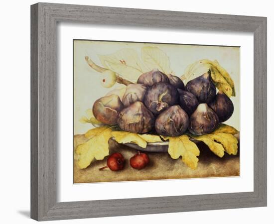 Still Life with Bowl of Figs, c.1650-Giovanna Garzoni-Framed Giclee Print