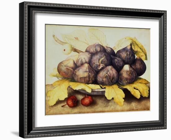 Still Life with Bowl of Figs, c.1650-Giovanna Garzoni-Framed Giclee Print