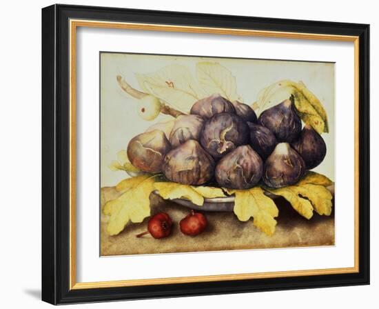 Still Life with Bowl of Figs, c.1650-Giovanna Garzoni-Framed Giclee Print