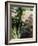 Still Life with Broccoli and Cauliflower-Eising Studio - Food Photo and Video-Framed Photographic Print