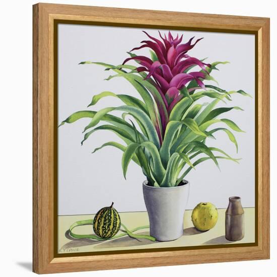 Still Life with Bromeliad-Christopher Ryland-Framed Premier Image Canvas