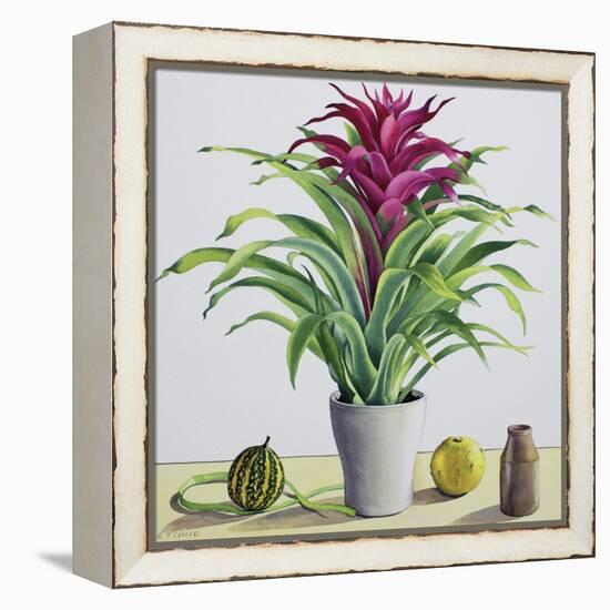 Still Life with Bromeliad-Christopher Ryland-Framed Premier Image Canvas