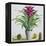 Still Life with Bromeliad-Christopher Ryland-Framed Premier Image Canvas