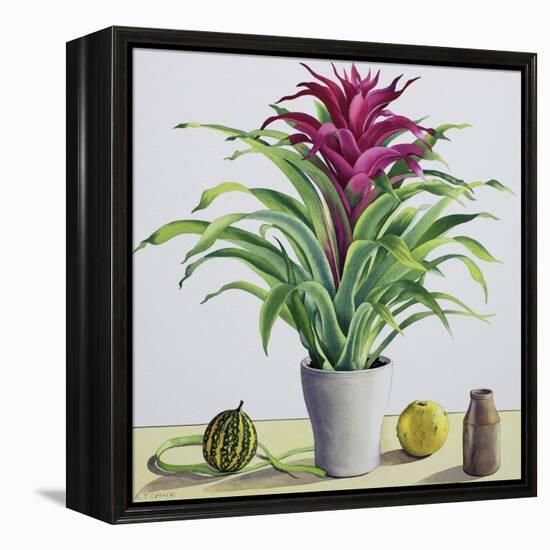 Still Life with Bromeliad-Christopher Ryland-Framed Premier Image Canvas