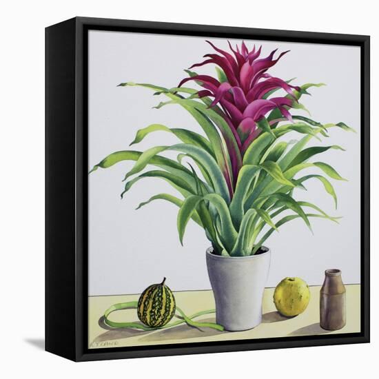 Still Life with Bromeliad-Christopher Ryland-Framed Premier Image Canvas