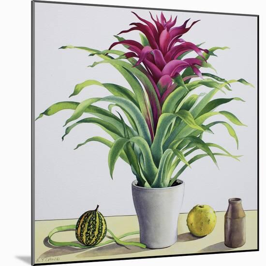 Still Life with Bromeliad-Christopher Ryland-Mounted Premium Giclee Print