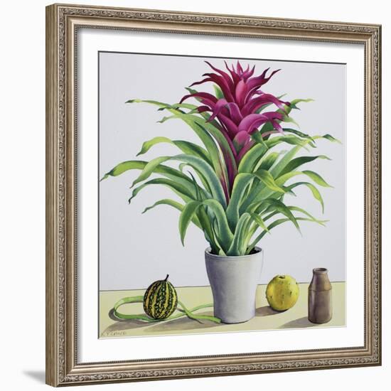 Still Life with Bromeliad-Christopher Ryland-Framed Giclee Print