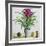 Still Life with Bromeliad-Christopher Ryland-Framed Giclee Print