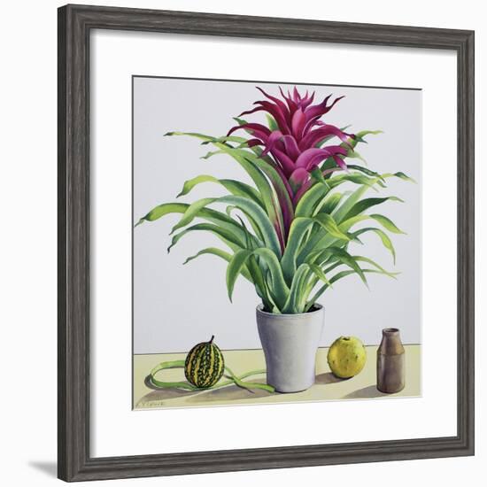 Still Life with Bromeliad-Christopher Ryland-Framed Giclee Print