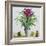 Still Life with Bromeliad-Christopher Ryland-Framed Giclee Print