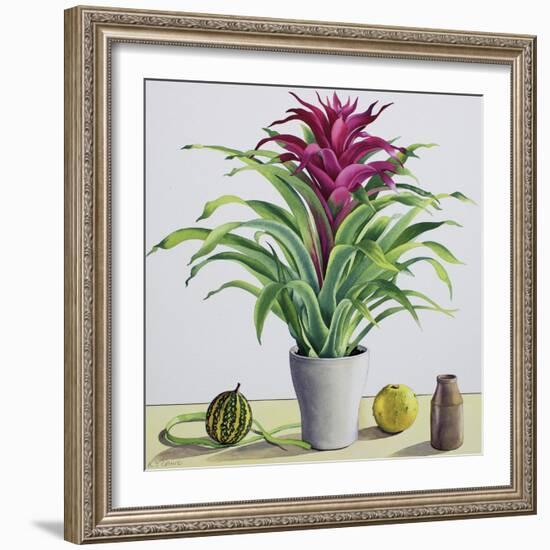 Still Life with Bromeliad-Christopher Ryland-Framed Giclee Print