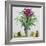 Still Life with Bromeliad-Christopher Ryland-Framed Giclee Print