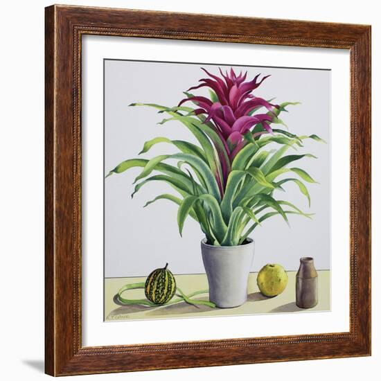 Still Life with Bromeliad-Christopher Ryland-Framed Giclee Print