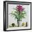 Still Life with Bromeliad-Christopher Ryland-Framed Giclee Print