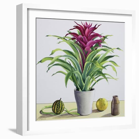 Still Life with Bromeliad-Christopher Ryland-Framed Giclee Print